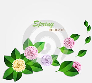 Fresh spring background with green leaves and color dahlia. Vector.