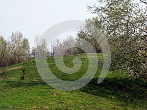 Fresh spring on the banks of the island Calarasi