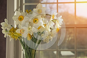 Fresh spring flowers with morning light through the clean window