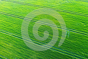 Fresh spring green field with tractor tracks from above