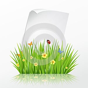 Fresh spring green grass frame template with curling blank sheet paper