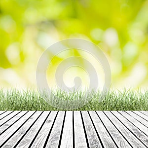Fresh spring green grass with green bokeh and sunlight and wood