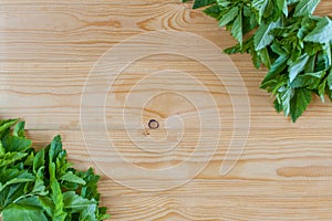 Fresh spring green grass and leaf plant over wood fence background.