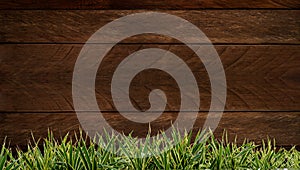 Fresh spring green grass and leaf plant over wood fence background. Wood background Grass frame