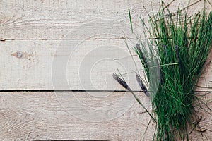 Fresh spring green grass lie over wood fence background