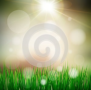 Fresh spring green grass with sun sky background