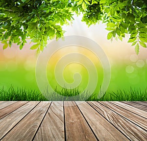 Fresh spring green grass and wood floor with green leaf.