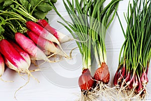 Fresh spring greens for salad: radish and green onions.