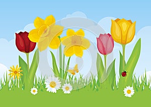 Fresh spring meadow with flowers on a sunny day vector illustration