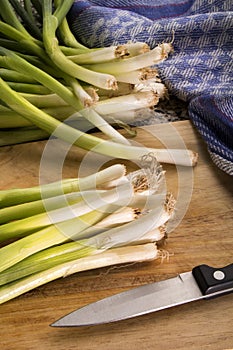 Fresh spring onion and knife on a wooden board