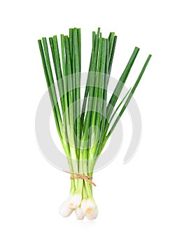 Fresh spring onion on white background