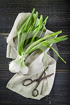 Fresh spring onions and old scissors