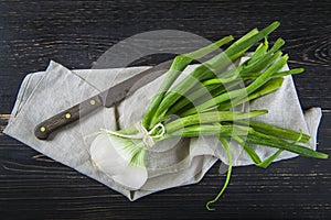 Fresh spring onions and old scissors