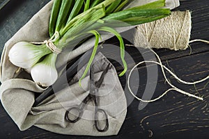 Fresh spring onions and old scissors