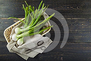 Fresh spring onions and old scissors