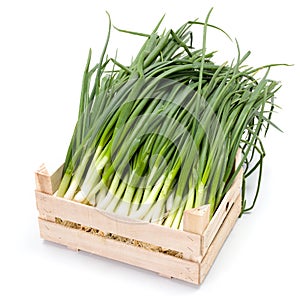 Fresh spring onions in wooden crate