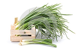 Fresh spring onions in wooden crate