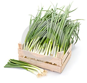 Fresh spring onions in wooden crate