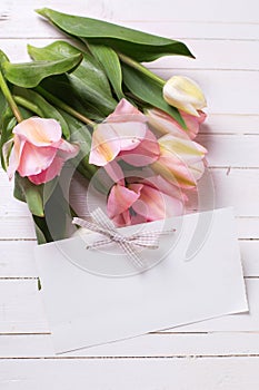 Fresh spring pink tulips and empty tag