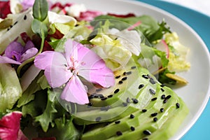 Fresh spring salad with flowers on plate, closeup