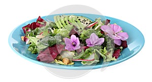 Fresh spring salad with flowers in plate on white