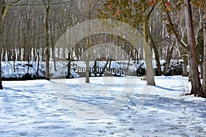 Fresh Spring Snow with footbridge in distance