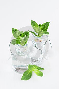 Fresh spring summer drink - green mint twigs in bottles with mineral water on white soft wood background.