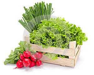 Fresh spring vegetables in crate