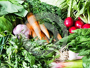 Fresh Spring vegetables and herbs - carrots, ramson, radish, dill, garlic, arugula, green onions background