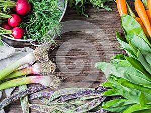 Fresh Spring vegetables and herbs frame on rustic wood background. Spring harvest of fresh vegetables. Copy space