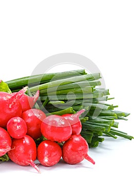 Fresh spring vegetables: radish and scallion