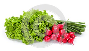 Fresh spring vegetables: radish, scallion and lettuce