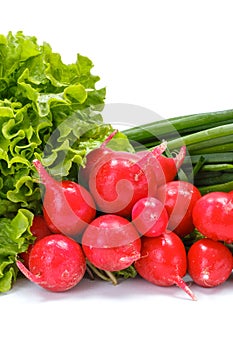 Fresh spring vegetables: radish, scallion and lettuce