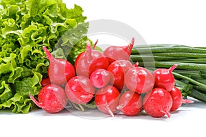 Fresh spring vegetables: radish, scallion and lettuce