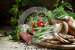 Fresh spring vegetables, wild garlic, brown mushrooms, fresh her