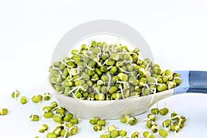 Fresh Sprouted mung beans or green gram beans in spoon