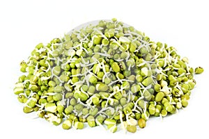 Fresh Sprouted mung beans or green gram beans in white background