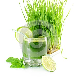 Fresh sprouted wheat grass juice with wheat grass in white background