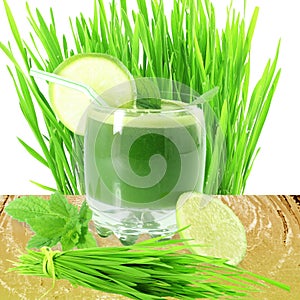 Fresh sprouted wheat grass juice with wheat grass in white background