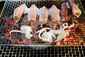Fresh squid grilled in BBQ Flames.