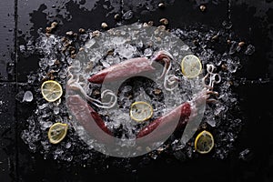 Fresh squid on ice and lemon