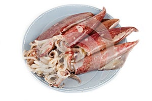 Fresh squid isolated on white background
