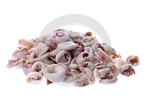 Fresh Squid Rings Isolated