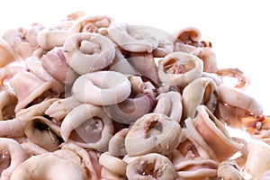 Fresh Squid Rings Isolated