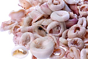 Fresh Squid Rings Isolated