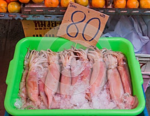 Fresh squid on the seafood market.