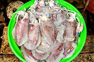 Fresh squid seafood in market