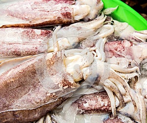 Fresh squid seafood in market