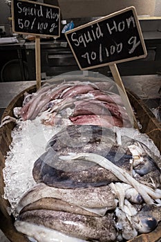Fresh squids in ice bucket with pricetag for display at seafood restaurant