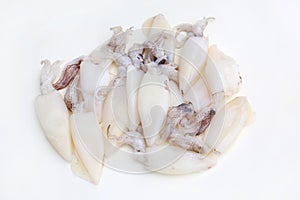 Fresh squids isolated on white studio background